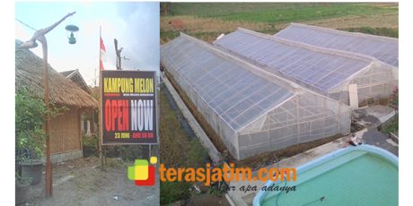 Mengenal Kampung Melon di Desa Wisata Modangan Nglegok Blitar