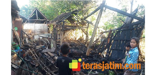 Kandang Terbakar, 2 Ekor Sapi Terpanggang Kandang Terbakar, 2 Ekor Sapi Terpanggang