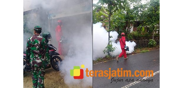 Kasus DBD di Pacitan Menurun, Ini Temuan Dinkes Pacitan Selama Januari 2020