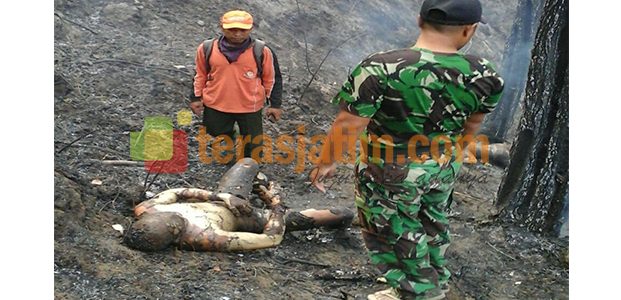 Kebakaran Hutan Pinus, Tewaskan 4 Orang di Slahung Ponorogo Kebakaran Hutan Pinus, Tewaskan 4 Orang di Slahung Ponorogo