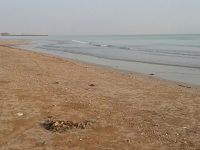 Kembali Bocor, Petrochina Perbaiki Pipa Bawah Laut