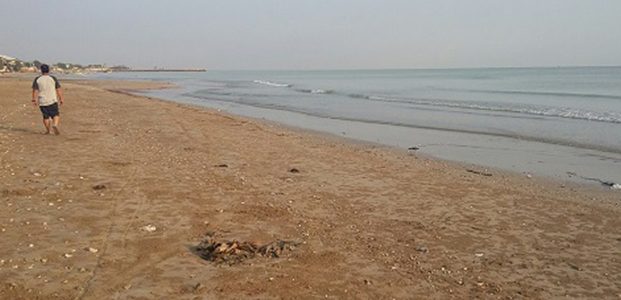Kembali Bocor, Petrochina Perbaiki Pipa Bawah Laut Kembali Bocor, Petrochina Perbaiki Pipa Bawah Laut