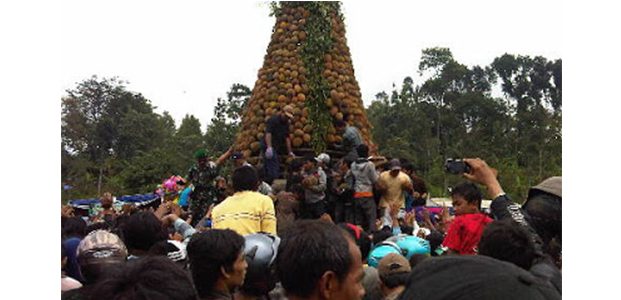 Ribuan Warga di Jombang, Berebut Gunungan Berisi 2.016 Durian Ribuan Warga di Jombang, Berebut Gunungan Berisi 2.016 Durian