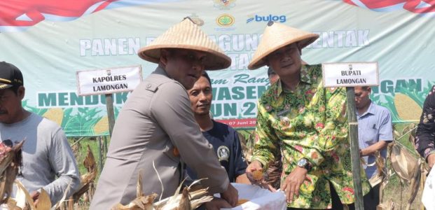 Industri Pengelolaan Pakan Ternak Terbesar Se-Asia Tenggara Akan Dibangun di Lamongan Industri Pengelolaan Pakan Ternak Terbesar Se-Asia Tenggara Akan Dibangun di Lamongan