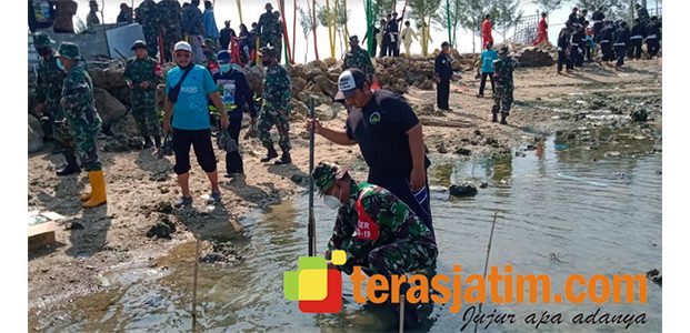 Gencarkan Penanaman Mangrove di Pesisir Pantura Lamongan Gencarkan Penanaman Mangrove di Pesisir Pantura Lamongan