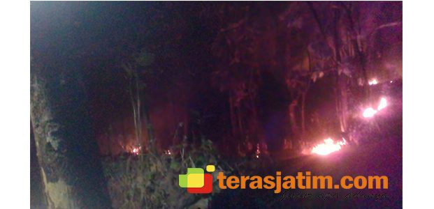 Lahan Hutan Milik Perhutani di Sawoo Ponorogo Terbakar Lahan Hutan Milik Perhutani di Sawoo Ponorogo Terbakar