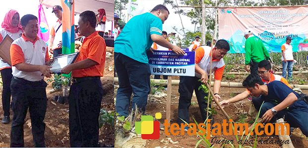 Lestarikan Sumber Mata Air, Ratusan Ribu Pohon Ditanam di Pacitan Lestarikan Sumber Mata Air, Ratusan Ribu Pohon Ditanam di Pacitan