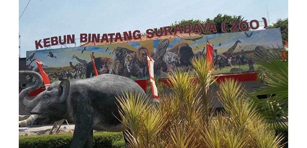 Terowongan TIJ Segera Dioperasikan, KBS Siapkan Pintu Gerbang Selatan Terowongan TIJ Segera Dioperasikan, KBS Siapkan Pintu Gerbang Selatan