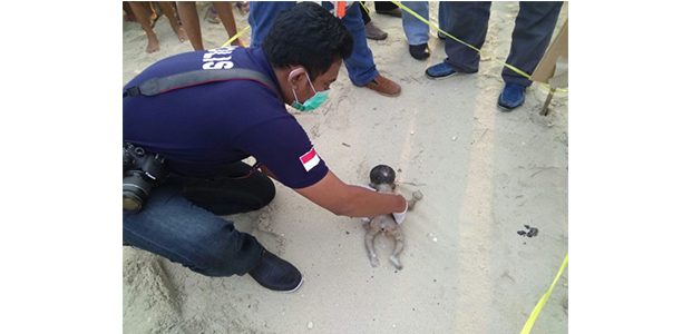 Mayat Bayi Ditemukan di Wisata Pasir Putih Remen Tuban Mayat Bayi Ditemukan di Wisata Pasir Putih Remen Tuban