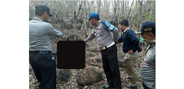 Mayat Perempuan Ditemukan Membusuk di Hutan Banyuglugur Situbondo Mayat Perempuan Ditemukan Membusuk di Hutan Banyuglugur Situbondo