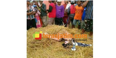 Polres Lamongan Tangkap Pembunuh Iswatun, Wanita Yang Ditemukan Telanjang Ditumpukan Jerami