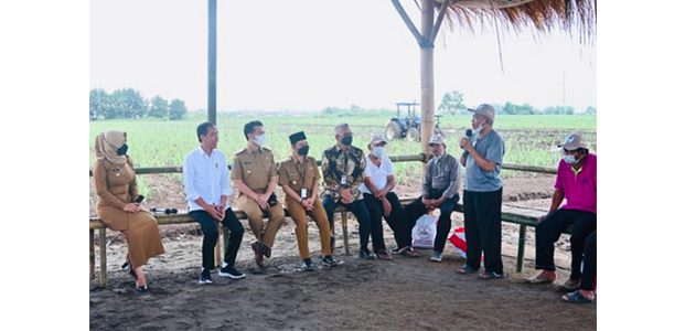 Kunjungi Mojokerto, Presiden Dialong dengan Petani Tebu