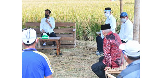 Usai Bertemu Keluarga Patriot KRI Nanggala-402, Presiden Dialog dengan Petani di Malang Usai Bertemu Keluarga Patriot KRI Nanggala-402, Presiden Dialog dengan Petani di Malang