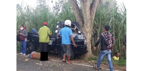 Pick Up Tabrak Pohon, 6 Perempuan Pulang Arisan Tewas