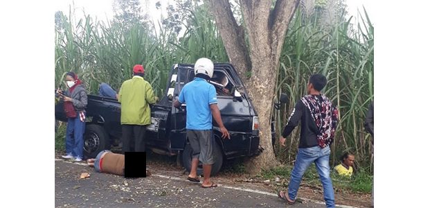 Pick Up Tabrak Pohon, 6 Perempuan Pulang Arisan Tewas Pick Up Tabrak Pohon, 6 Perempuan Pulang Arisan Tewas