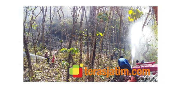 Musim Kemarau, Pacitan Waspadai Ancaman Karhutla Musim Kemarau, Pacitan Waspadai Ancaman Karhutla