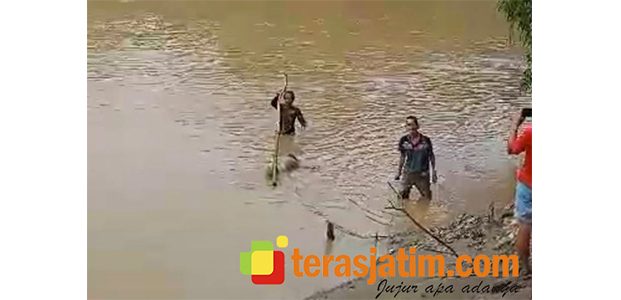 3 Hari Dicari, Jasad Pria asal Pangkur Ngawi Ditemukan Mengambang di Bengawan Madiun 3 Hari Dicari, Jasad Pria asal Pangkur Ngawi Ditemukan Mengambang di Bengawan Madiun