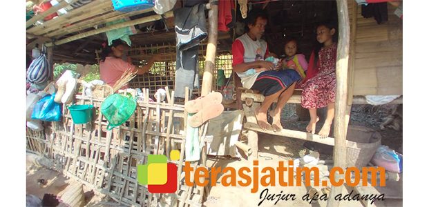 Bikin Trenyuh, Sekeluarga di Pacitan Tinggal di Gubuk Reyot dengan Ternaknya