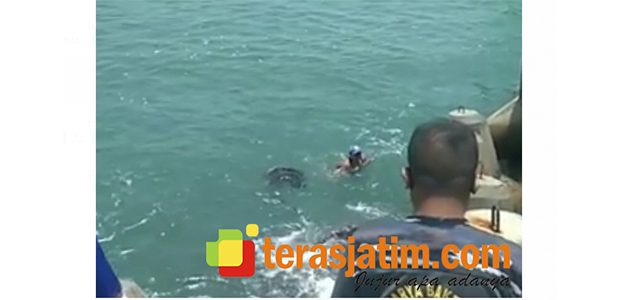 Pemuda di Pacitan Ditemukan Tewas Mengapung di Laut, Ini Status WA Terakhirnya Pemuda di Pacitan Ditemukan Tewas Mengapung di Laut, Ini Status WA Terakhirnya