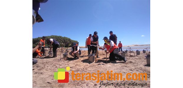 Pantai Pesisir Selatan Jatim Diintai Potensi Tsunami, Pacitan Jadi Salah Satu Perhatian Pantai Pesisir Selatan Jatim Diintai Potensi Tsunami, Pacitan Jadi Salah Satu Perhatian