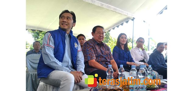 Hasil Pemilu Sementara, Ibas Raih Suara Tertinggi Caleg DPR RI Dapil Jatim VII Hasil Pemilu Sementara, Ibas Raih Suara Tertinggi Caleg DPR RI Dapil Jatim VII