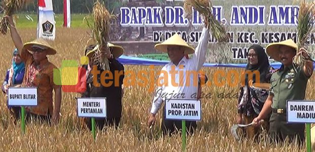 Kemarau Panjang, Blitar Panen Raya Kemarau Panjang, Blitar Panen Raya