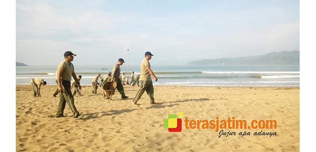 Hijaukan Kawasan Pantai Pancer Door, Kodim Pacitan Gelar Aksi Hijaukan Kawasan Pantai Pancer Door, Kodim Pacitan Gelar Aksi
