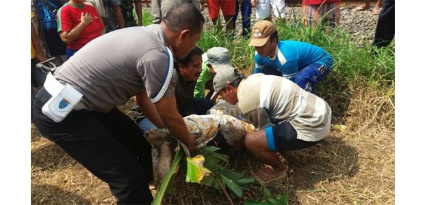 Sepasang Suami Istri dan Anak Balitanya, Tertabrak Kereta Api di Kalibaru Jember Sepasang Suami Istri dan Anak Balitanya, Tertabrak Kereta Api di Kalibaru Jember