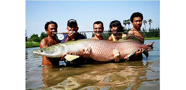 Pegiat Lingkungan Minta Pelaku Pelepas Ikan Predator ke Kali Brantas Diproses Hukum Pegiat Lingkungan Minta Pelaku Pelepas Ikan Predator ke Kali Brantas Diproses Hukum