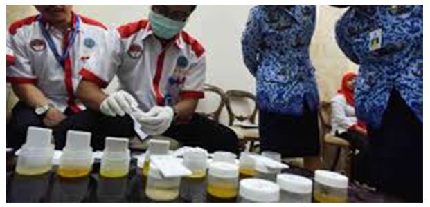 BNNK Akan Rehabilitasi Pejabat Pemkab Nganjuk Yang Positif Pecandu Narkoba BNNK Akan Rehabilitasi Pejabat Pemkab Nganjuk Yang Positif Pecandu Narkoba
