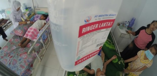 Penderita DBD di Jatim Capai 2.660 Orang, 46 Meninggal Penderita DBD di Jatim Capai 2.660 Orang, 46 Meninggal