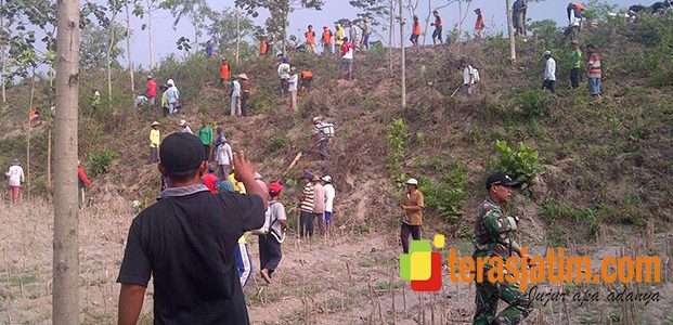 Penghijauan Untuk Pemulihan Pasca Erupsi Kelud Penghijauan Untuk Pemulihan Pasca Erupsi Kelud