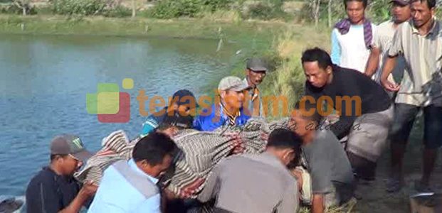 Seorang Petani Ditemukan Tewas di Sawah Seorang Petani Ditemukan Tewas di Sawah