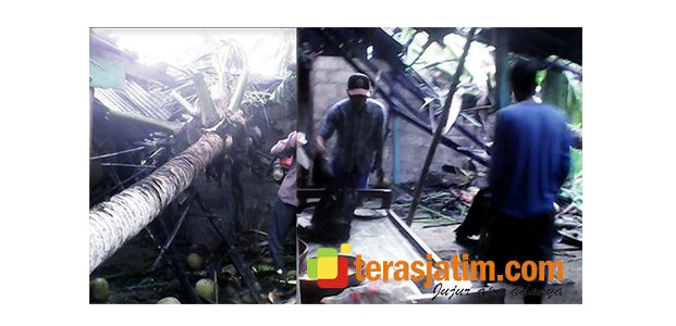 Pohon Tumbang, Timpa Rumah Warga di Tulakan Pacitan Pohon Tumbang, Timpa Rumah Warga di Tulakan Pacitan