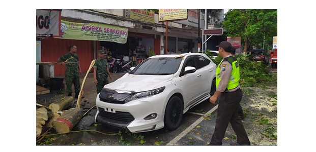Pohon di Jalan Cempaka Blitar Tumbang, Timpa Mobil Parkir Pohon di Jalan Cempaka Blitar Tumbang, Timpa Mobil Parkir