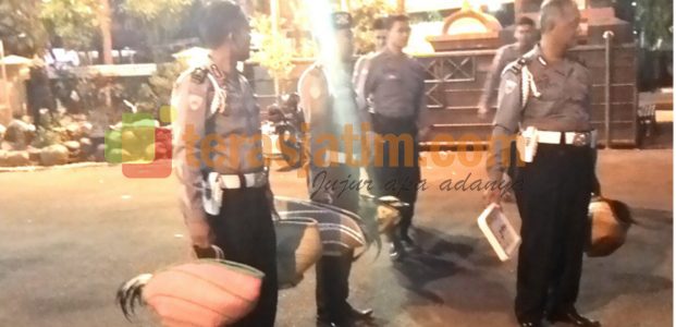 Lokasi Judi Sabung Ayam di Babat, Digerebek Polisi Lokasi Judi Sabung Ayam di Babat, Digerebek Polisi