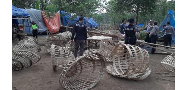 Polisi Obrak Abrik Ajang Judi Sabung Ayam di Mlawang Lumajang Polisi Obrak Abrik Ajang Judi Sabung Ayam di Mlawang Lumajang