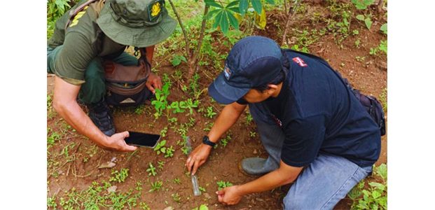 Kabar Ada Jejak Harimau di Ponorogo, BBKSDA Jatim Turun Tangan, Ini Hasilnya Kabar Ada Jejak Harimau di Ponorogo, BBKSDA Jatim Turun Tangan, Ini Hasilnya