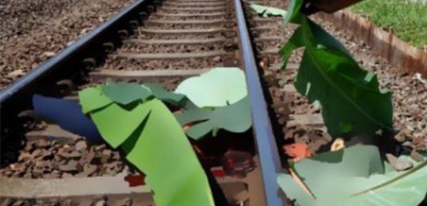 Tabrakan Diri ke Kereta Api, Pria asal Sukosewu Blitar Tewas Mengenaskan Tabrakan Diri ke Kereta Api, Pria asal Sukosewu Blitar Tewas Mengenaskan