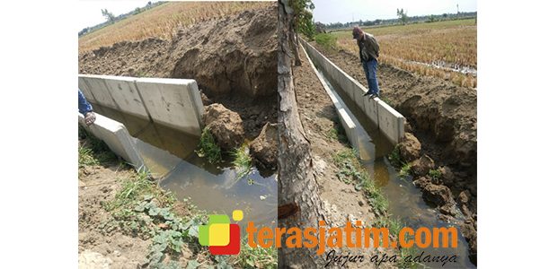 Proyek Drainase di Tegalrejo Widang Tuban, Pengerjaannya Diduga Asal-Asalan Proyek Drainase di Tegalrejo Widang Tuban, Pengerjaannya Diduga Asal-Asalan