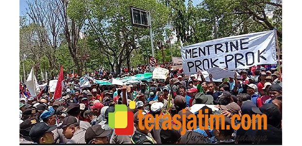 Pupuk Subsidi Sulit, Ribuan Petani Tambak di Lamongan Turun ke Jalan Pupuk Subsidi Sulit, Ribuan Petani Tambak di Lamongan Turun ke Jalan