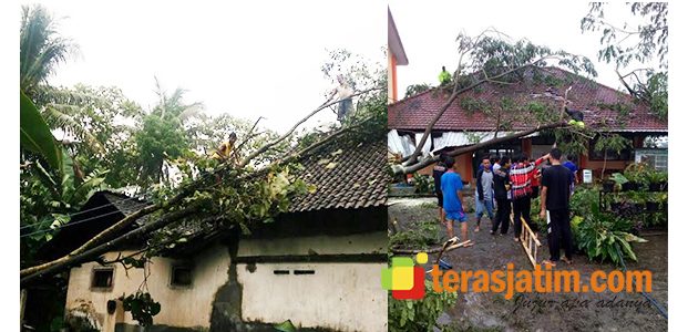 Puting Beliung Ngamuk di 3 Kecamatan di Blitar Puting Beliung Ngamuk di 3 Kecamatan di Blitar