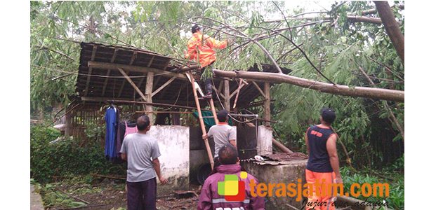 Puting Beliung Sasar Wilayah Talun Blitar, 8 Rumah dan 1 Mushala Rusak Puting Beliung Sasar Wilayah Talun Blitar, 8 Rumah dan 1 Mushala Rusak