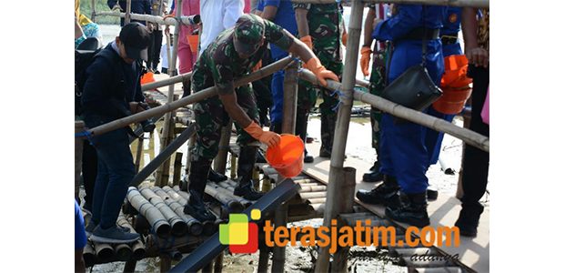 Ribuan Bibit Kepiting Ditebar di Pantai TPI Romokalisari Surabaya Ribuan Bibit Kepiting Ditebar di Pantai TPI Romokalisari Surabaya