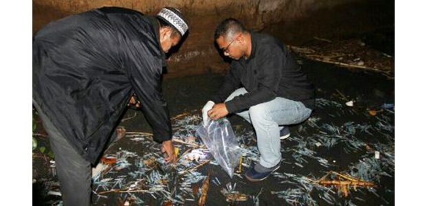 Ribuan Jarum Suntik dan Plastik Infus Bekas, Berserakan di Pantai Belumbung Situbondo Ribuan Jarum Suntik dan Plastik Infus Bekas, Berserakan di Pantai Belumbung Situbondo