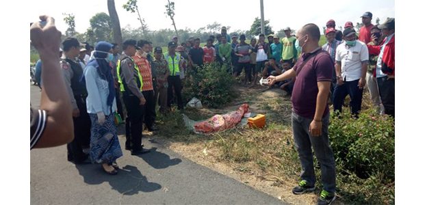 Buruh Tebang Tebu di Kediri, Tewas Mendadak Saat Bekerja Buruh Tebang Tebu di Kediri, Tewas Mendadak Saat Bekerja