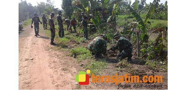 Satgas TMMD Kodim Jombang Tanam Pohon Trembesi di Sepanjang Jalan Satgas TMMD Kodim Jombang Tanam Pohon Trembesi di Sepanjang Jalan