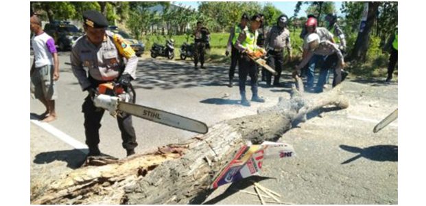 Seorang Pengendara Motor Tewas Tertimpa Pohon Tumbang Seorang Pengendara Motor Tewas Tertimpa Pohon Tumbang