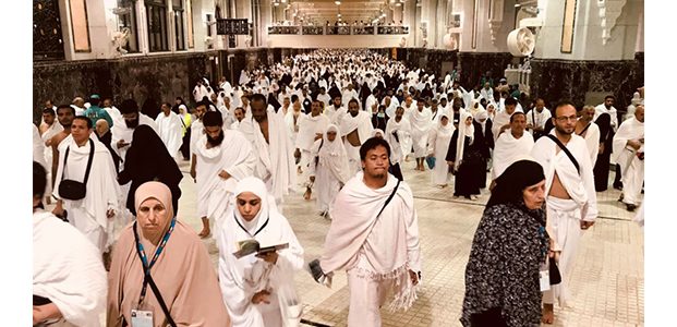 Sepekan Jelang Wukuf, 201 Ribu JCH asal Indonesia Tiba di Arab Saudi Sepekan Jelang Wukuf, 201 Ribu JCH asal Indonesia Tiba di Arab Saudi