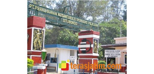 Serikat Pekerja BUN PTPN XI Tolak Rencana Penggabungan Pabrik Gula di Situbondo Serikat Pekerja BUN PTPN XI Tolak Rencana Penggabungan Pabrik Gula di Situbondo